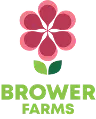 BROWER FARMS LLC
